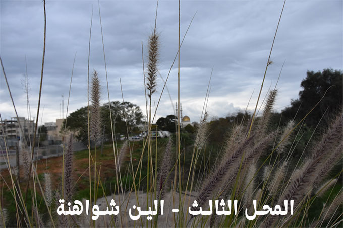 حفل توزيع الجوائز على المشاركين بمسابقة التصوير في وادي قانا